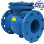 Check Valve